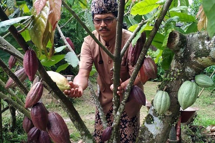 Industri Kakao Indonesia1